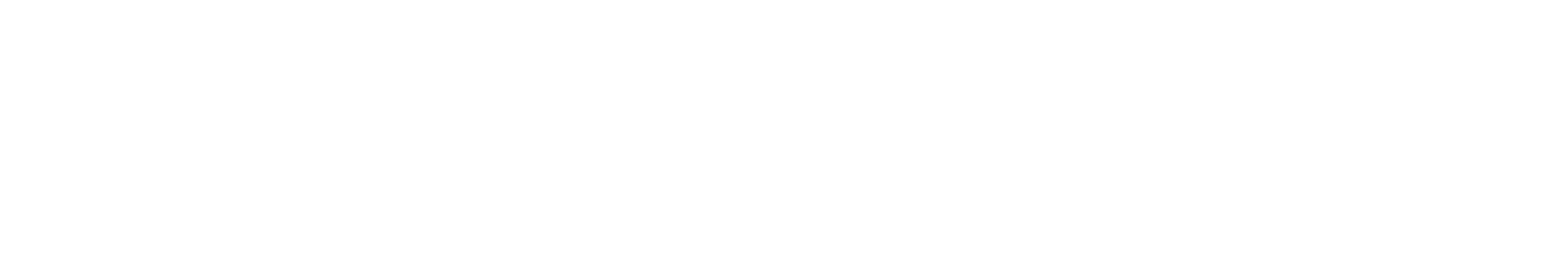 VPNPIRE